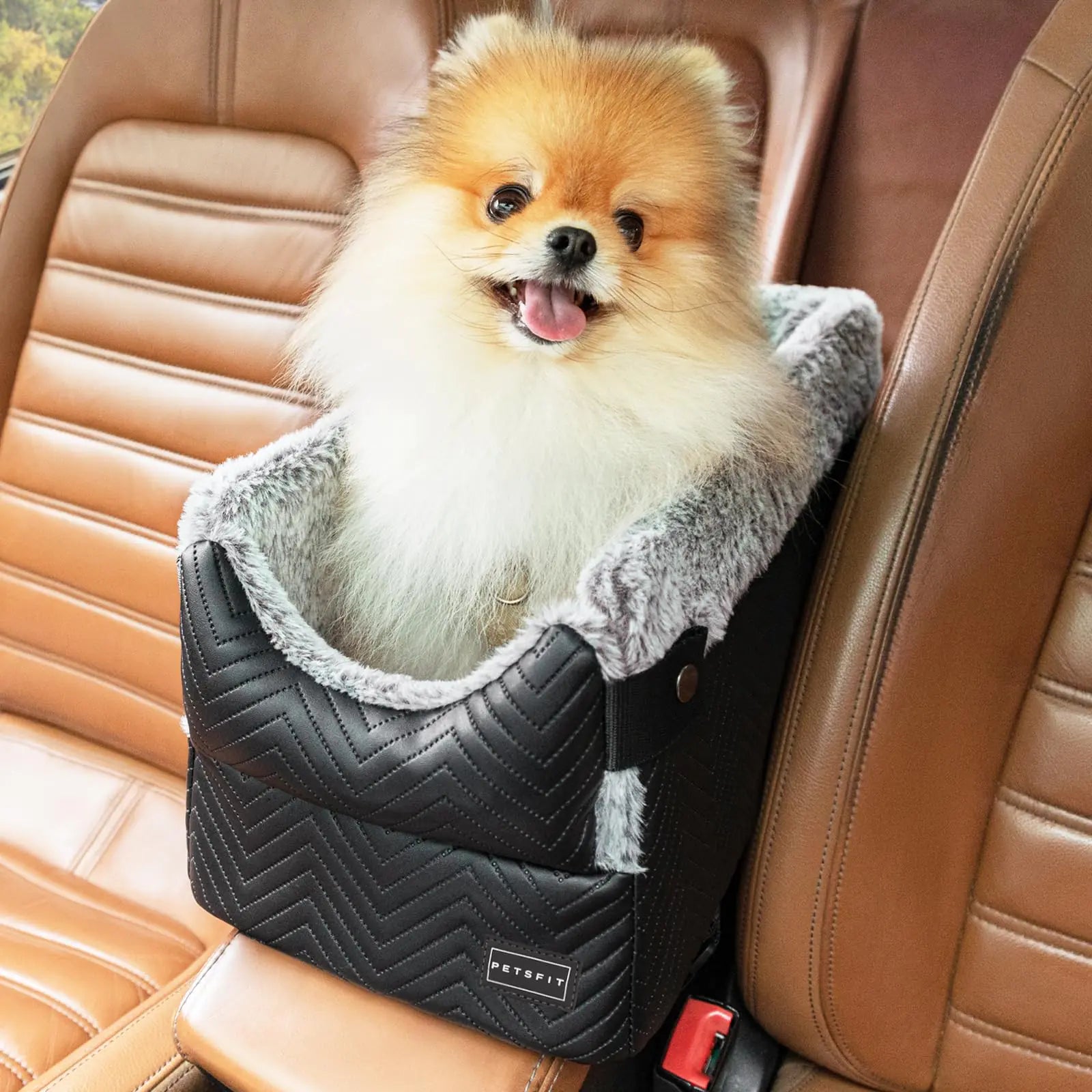 PETSFIT Center Console Dog Car Seat with Safe Protection Hooks Pet Car Seat with Upgraded Safety Tethers Washable Cushion Console Dog Car Seats for Small Dogs Up to 9 Lbs(Black)