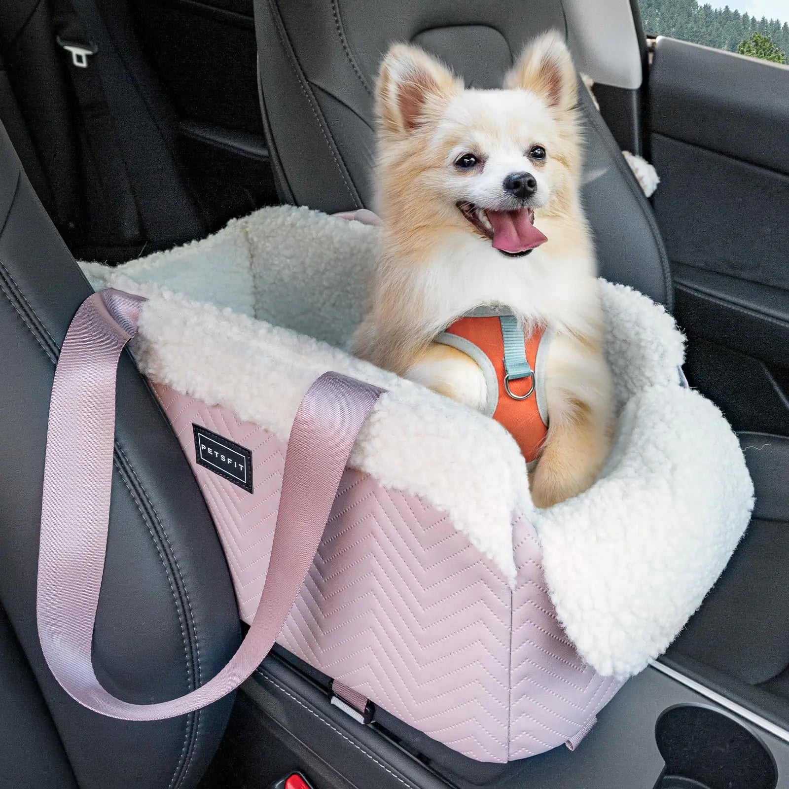 PETSFIT Cat Car Seat Portable Console Dog Car Seat with Safe Protective Hooks Luxury Pet Car Seat Dog Car Carrier Includes Safety Tether for Pets Up to 12 lbs (Pink)